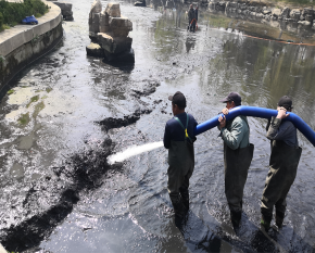 河道生态治理前后对比