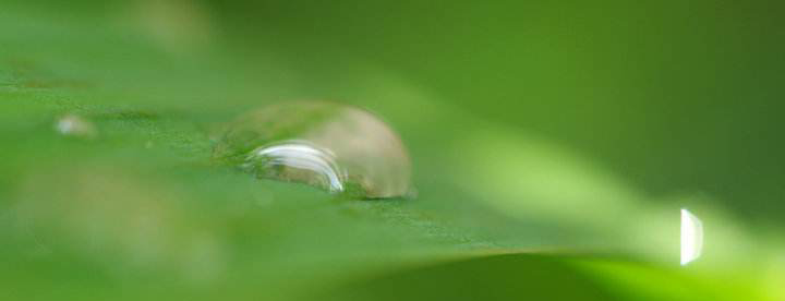 雨水净化设备