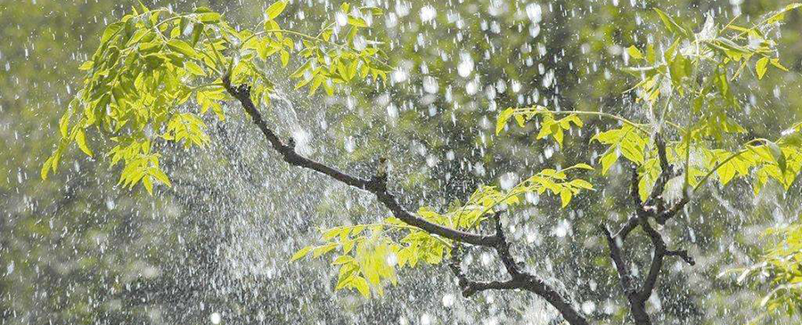 雨水处理设备