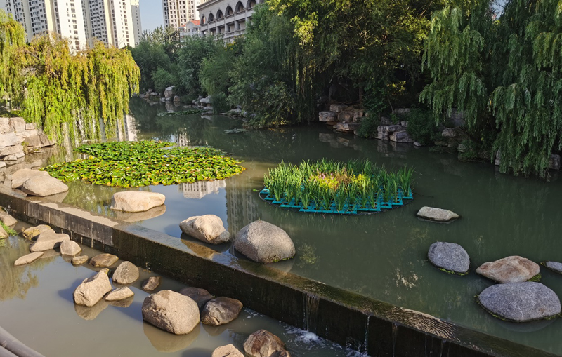 河道生态治理修复